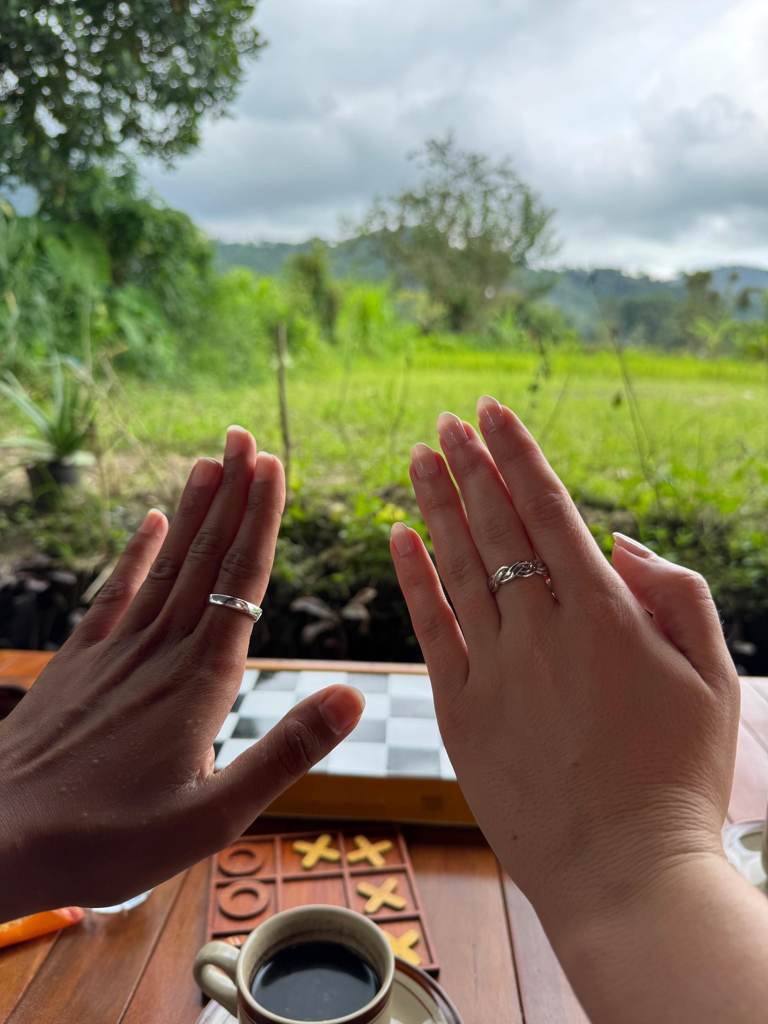 Description of image 3